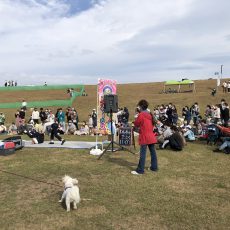 dogfes12