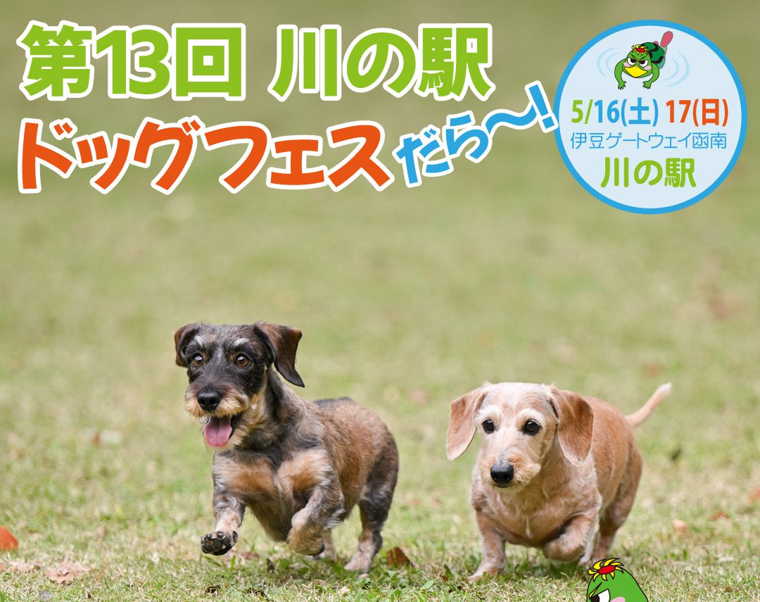 5/16(土)17(日)「第13回 川の駅ドッグフェスだら～！」開催いたしまし
